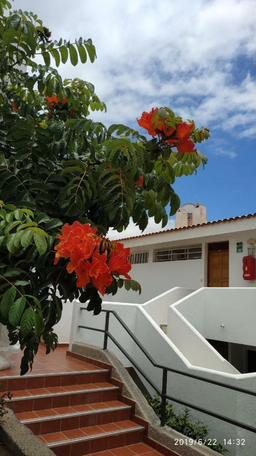 Club El Paradero Apartment Playa de las Americas  Exterior photo