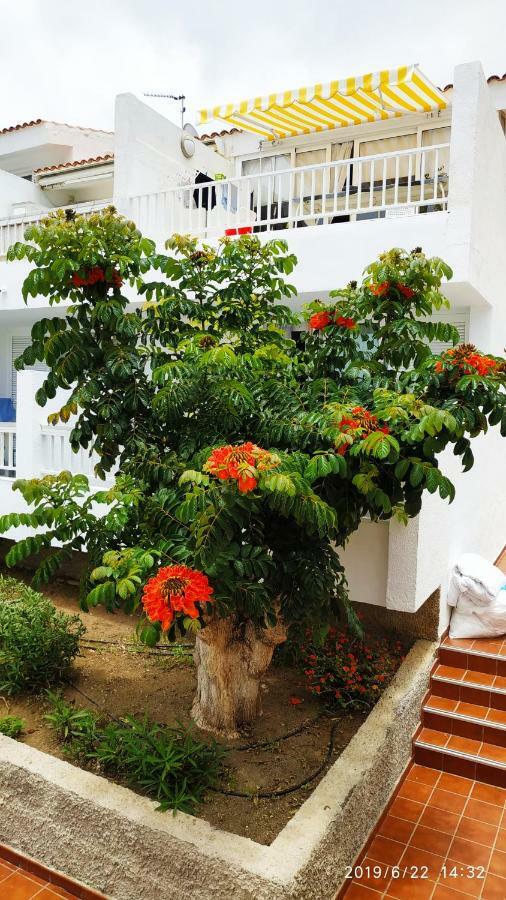 Club El Paradero Playa de las Americas  Exterior photo